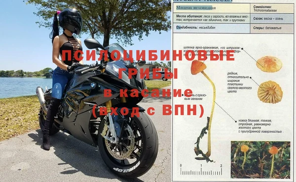 марки lsd Белоозёрский