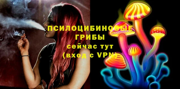 таблы Богородск